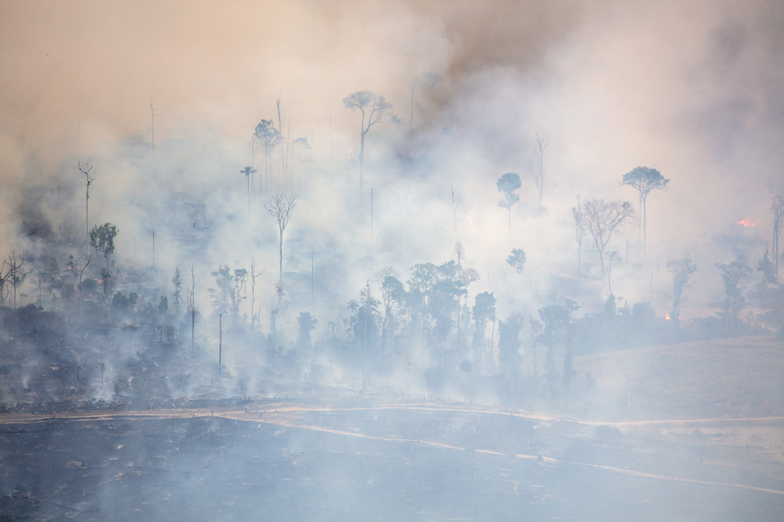 Fire in the Brazilian Amazon. Greenpeace Brazil conducted an aerial survey in southern Amazonas and northern Rondônia to monitor deforestation and fires in July 2024. Photo © Marizilda Cruppe / Greenpeace.