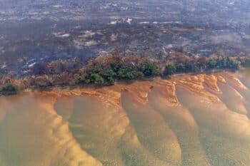 Scorched earth on the banks of the drought-stricken Xingu River on September 12th, 2024. Photo © Marizilda Cruppe / Greenpeace.