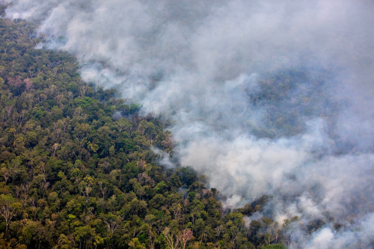 Heading into COP, Brazil’s Amazon deforestation rate is falling. What about fires?