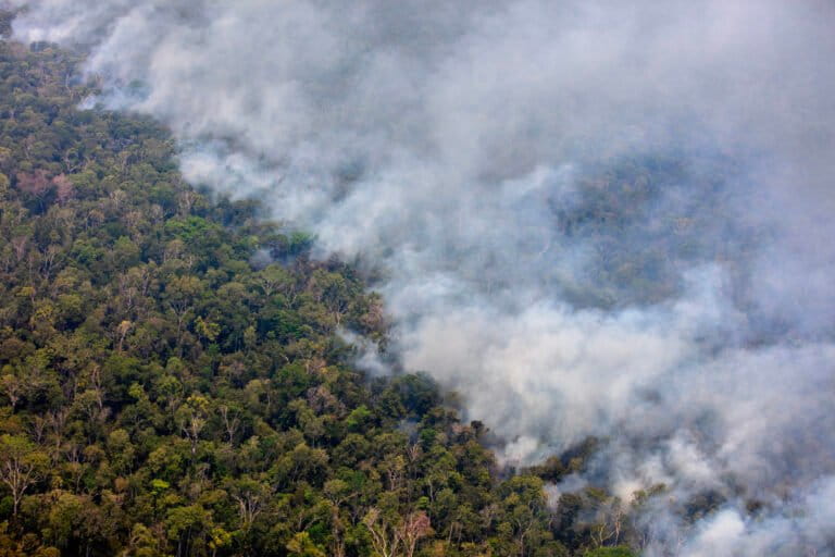 Fire in the Capoto-Jarina Indigenous Territory in the Upper Xingu region of Mato Grosso on September 12th, 2024. Photo © Marizilda Cruppe / Greenpeace