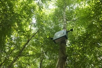 An inventory for acoustic monitoring: Interview with Kevin Darras