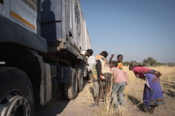 Cuatir Conservation Area’s neighbours come to inspect the new arrivals. Image by Jim Tan for Mongabay.