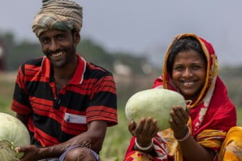 In five years since the 2018-19 fiscal, Khulna, Bagerhat, and Satkhira districts recorded increased production of Aman rice. Image courtesy of BARCIK