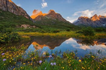 Fully functional Earth systems offer numerous ecosystem services to humanity, including clean air and water, the provision of food, and natural pollination of crops.