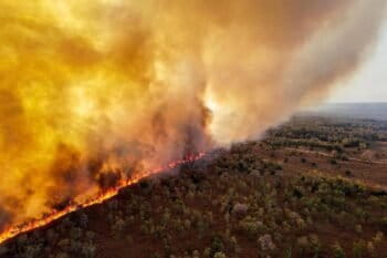 Pantanal fire. Image courtesy of Gustavo Figueiroa.