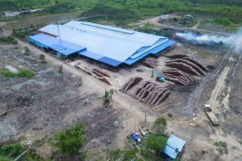 Banner image of Holy Plantation on the border of Prey Land Wildlife Sanctuary. Image by Gerald Flynn/Mongabay.