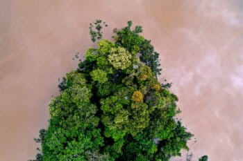 Flooded forest, Peruvian Amazon. Image by Rhett A. Butler for Mongabay.