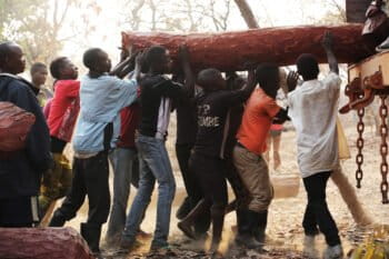 Seven young men load a large, reddish mukula log (Pterocarpus tinctorius) weighing 200 kilos onto the shoulder-high bed of a transport truck in Katanga province, DRC, in 2016. Image © Lu Guang / Greenpeace.