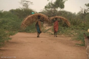Banner image of Turkana women from Kenya by Rhett A. Butler/Mongabay.