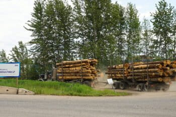 Drax is the largest consumer of wood pellets for energy in the UK.