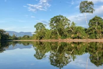 Indigenous peoples and local communities’ territories, like this shown in the Peruvian Amazon, are under active conservation management and make important contributions to 30x30 and such initiatives, but often receive little recognition or support. Image courtesy of Siyu Qin.