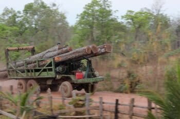 Banner image of logging truck near Think Biotech’s concession in 2020. Image by Ma Chettra.