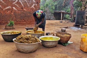 An oil palm farmer in Benin extracting palm oil.
