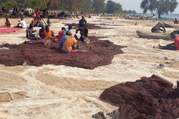 Artisans fix nets at Chikombe Beach ahead of their trip to Mbenje Island – . Image by Charles Mpaka for Mongabay.