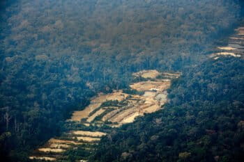 Illegal mining in the Munduruku Indigenous Territory in 2020. Image by Marizilda Cruppe/Amazônia Real/Amazon Watch.