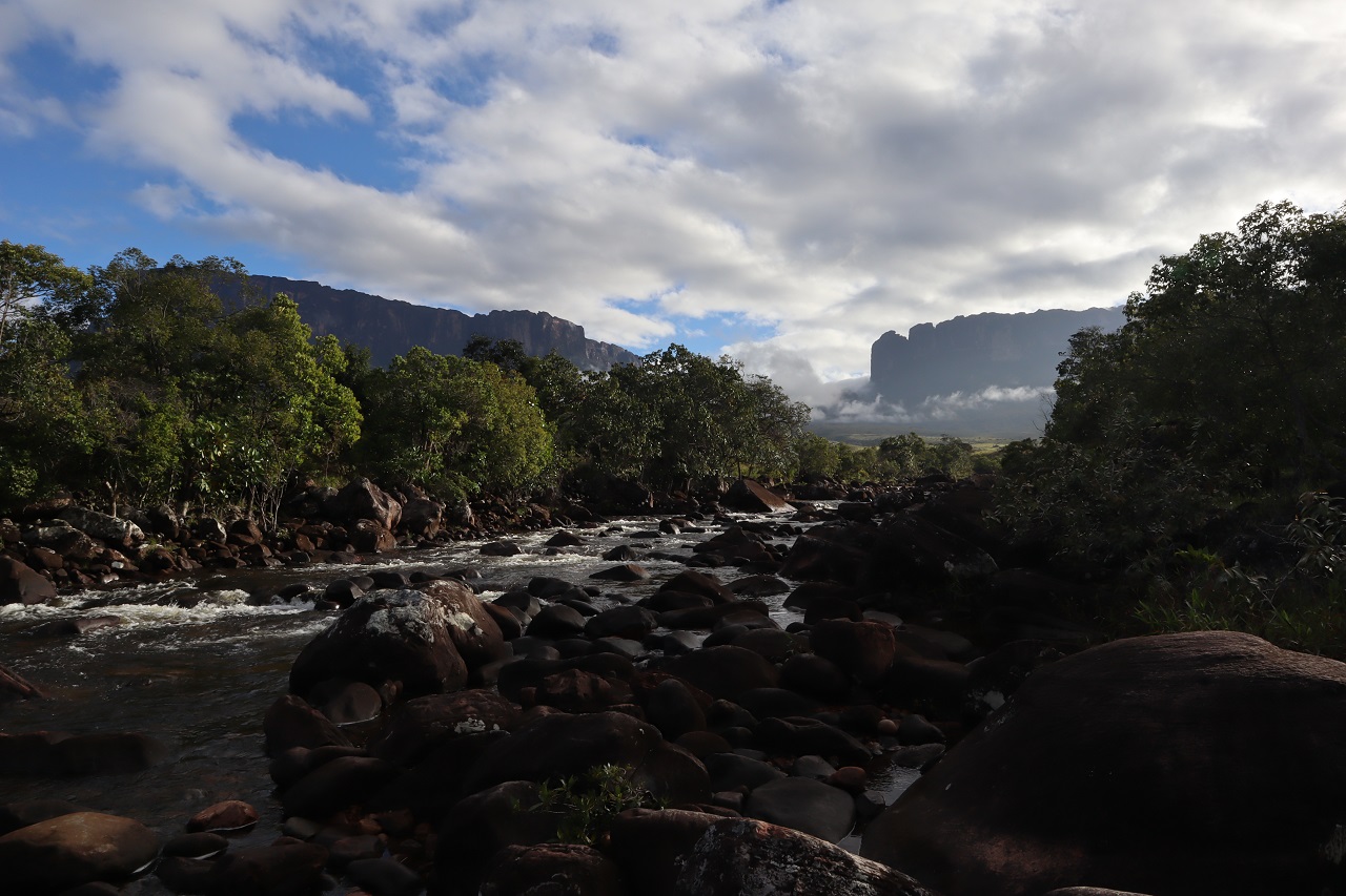 As Venezuela's crisis rolls on, its wildlife is increasingly at risk