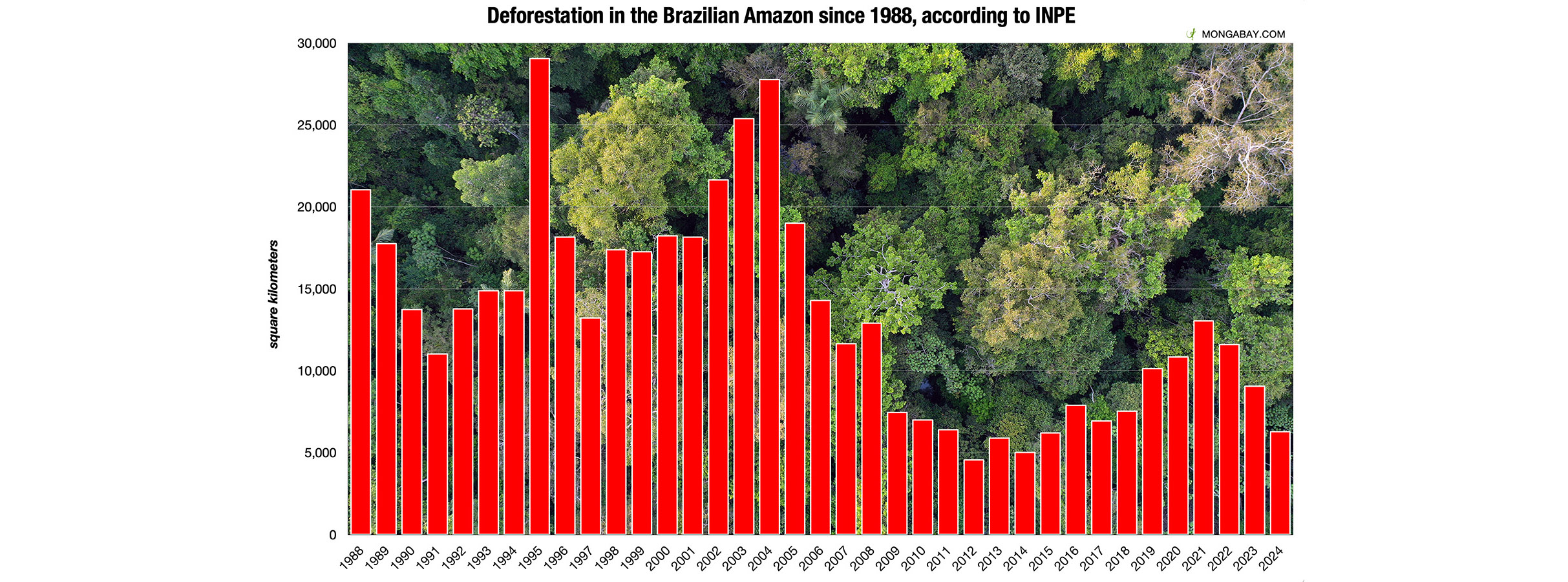 O Mais Forte: Quando Tradição e Inovação se Encontram no Brasil