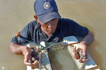 Syafi'i catching shellfish in the waters of the Malacca Strait.