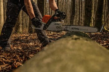 Cutting a tree with a chainsaw.