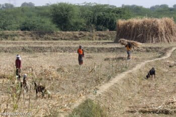 Banner image of farmers in India by Rhett A. Butler/Mongabay.