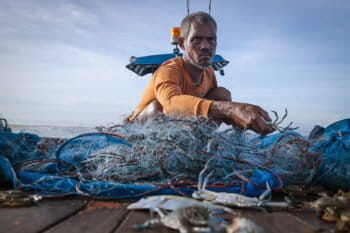 Fisherman Komsan Witan carefully removes a blue swimming crab from his fishing net.