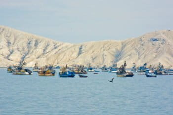 Fishing boats in Chimbote, Peru.
