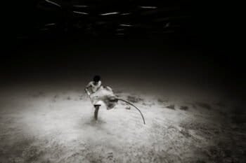 As he stepped carefully along the seafloor in the warm shallows of French Polynesia, I could hardly tell where the boy ended and the sea began. The pink whiptail ray swooped playfully around him and for a moment I could see clearly the path to coexistence between humanity and all the denizens of the sea.