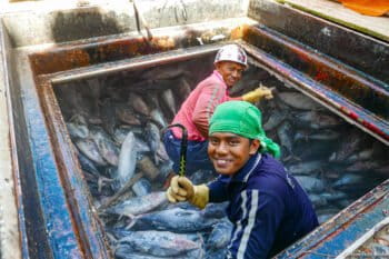 Crew members from Southeast Asia work to unload fish on purse seiners in the Western Pacific Ocean in 2023.