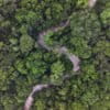 Amazon rainforest in Ecuador. Photo by Rhett Ayers Butler