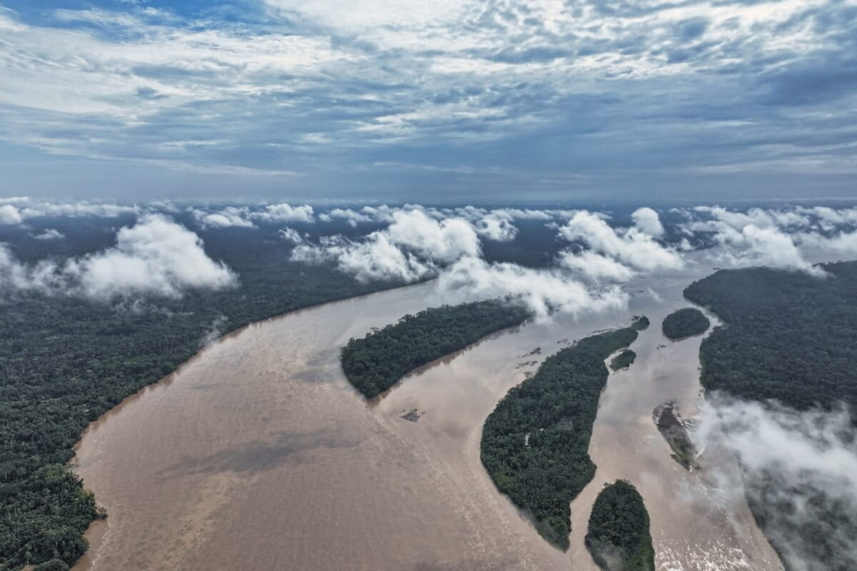 MPs across Latin America unite to stop fossil fuels in the Amazon
