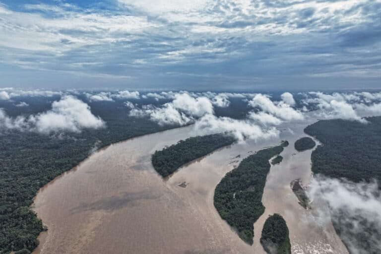 Amazon rainforest in Ecuador. Photo by Rhett Ayers Butler