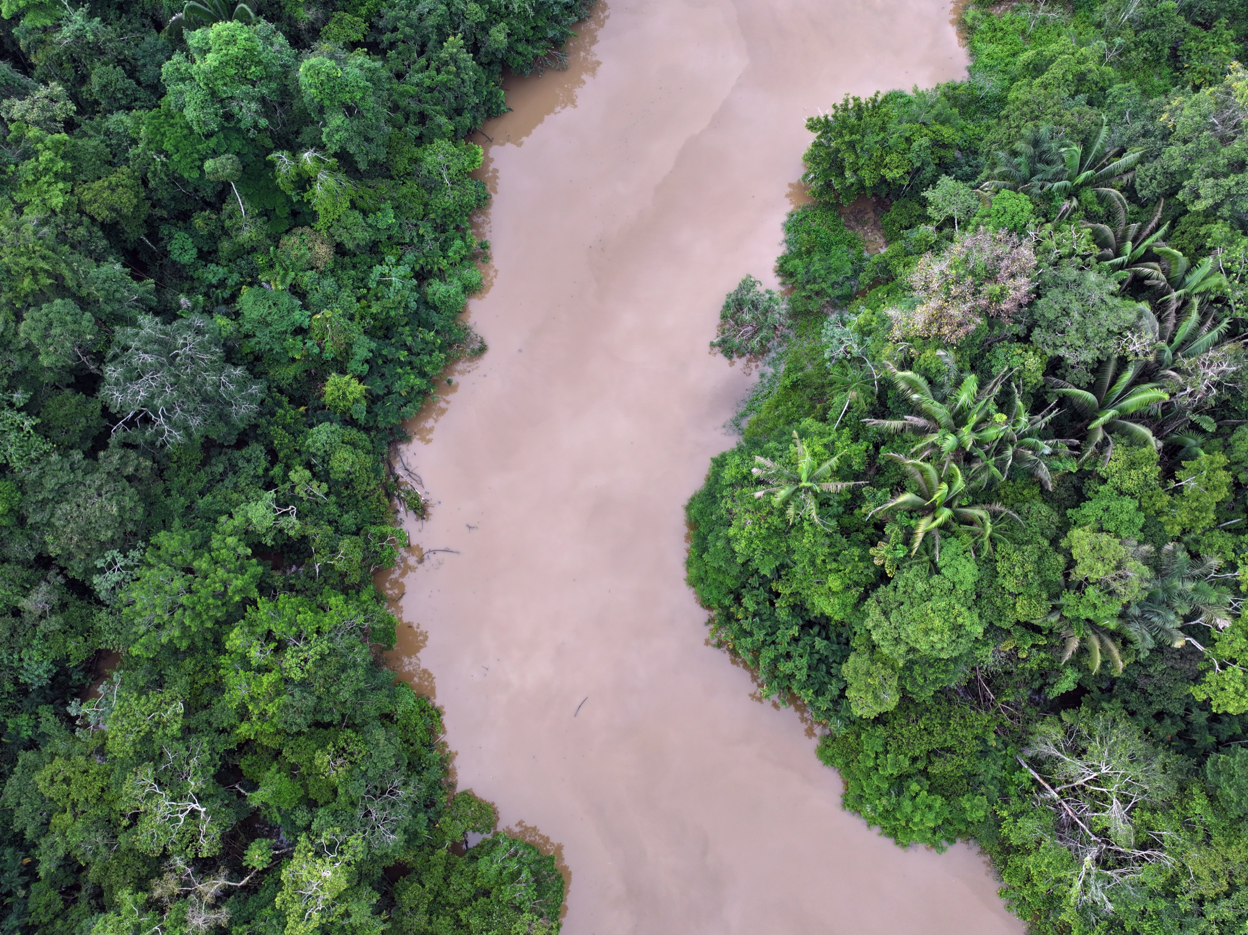 Amazon deforestation on pace to be the lowest on record, says Brazil
