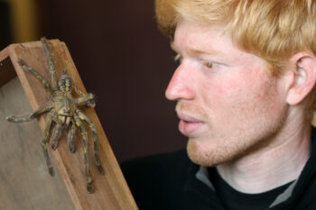 Zeeshan Mirza with one of the new tarantula species from the Western Ghats. Mirza has discovered several species of reptiles in India as well. Photo courtesy of Mirza.