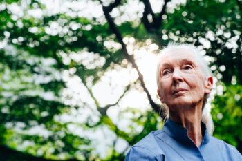 Jane Goodall in Japan in June 2023. Photo taken by Kaori Nishida