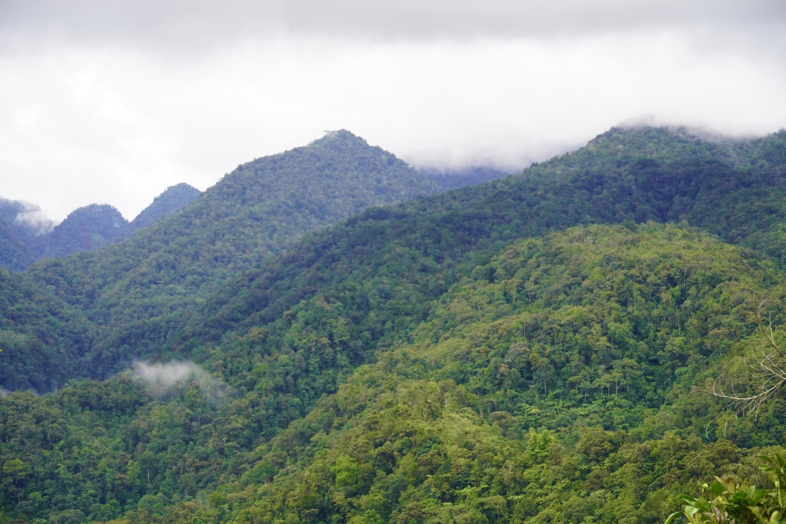 In the southern Philippines Bukidnon province lies Mount Kalatungan Range Natural Park