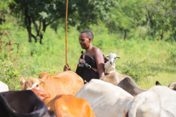 Maasai herder in Morogoro, not far from Ruaha National Park. Image by Shengena Killel/IFRI via Flickr (CC BY-NC-ND 2.0).