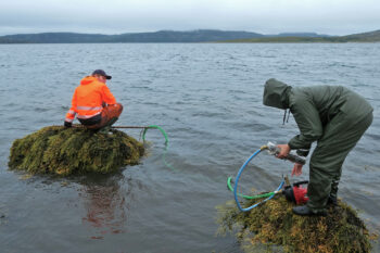 Researchers on one of the field visits to the Näätämö River, remote wilderness areas and the fjord at the outflow to the Arctic Ocean.