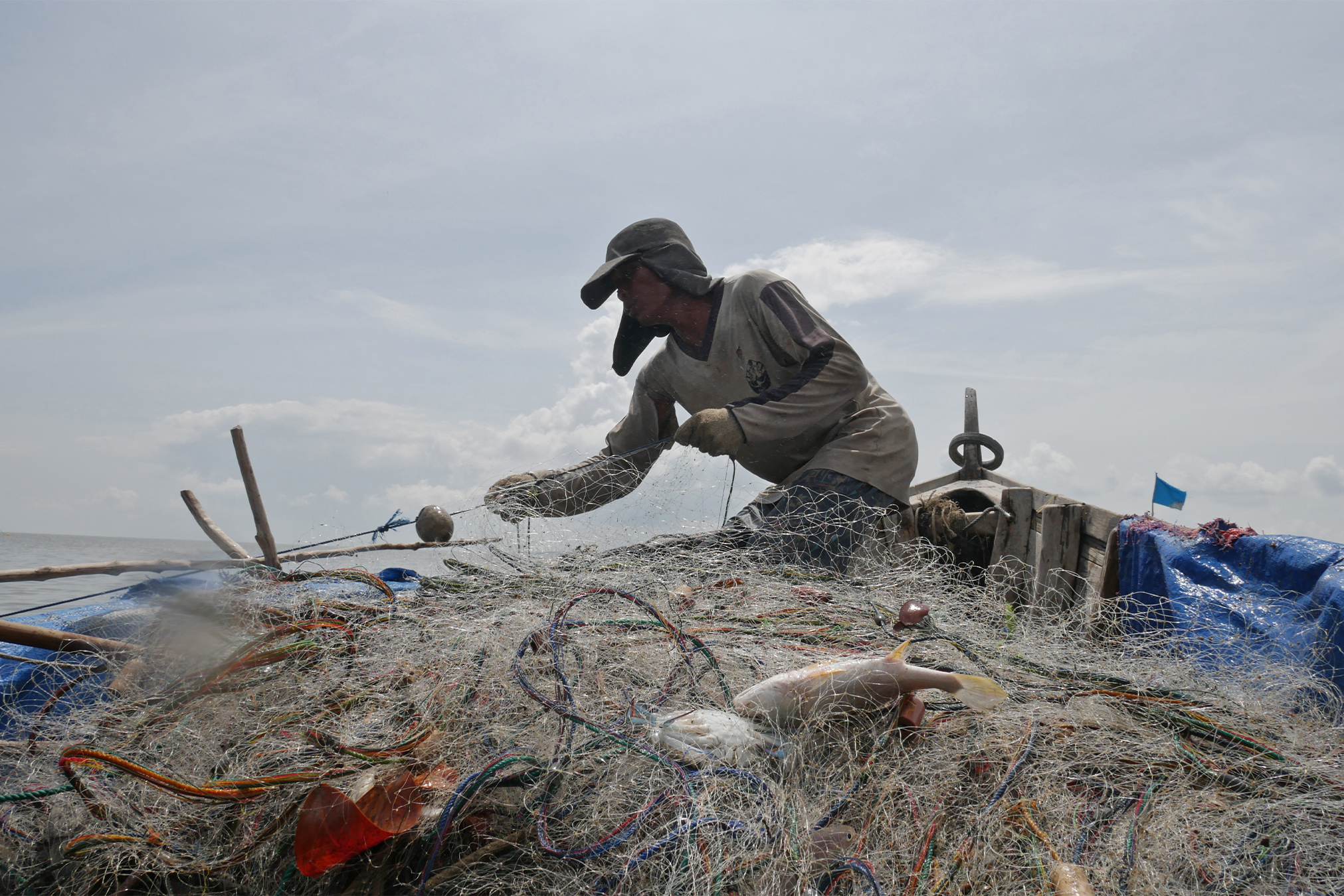 Bottom Trawling: What Is It and Why Is It Allowed? – Earth.Org