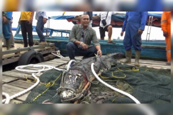 A fisherman poses with a crocodile belonging to PT Perkasa Jagat Karunia that was recaptured.