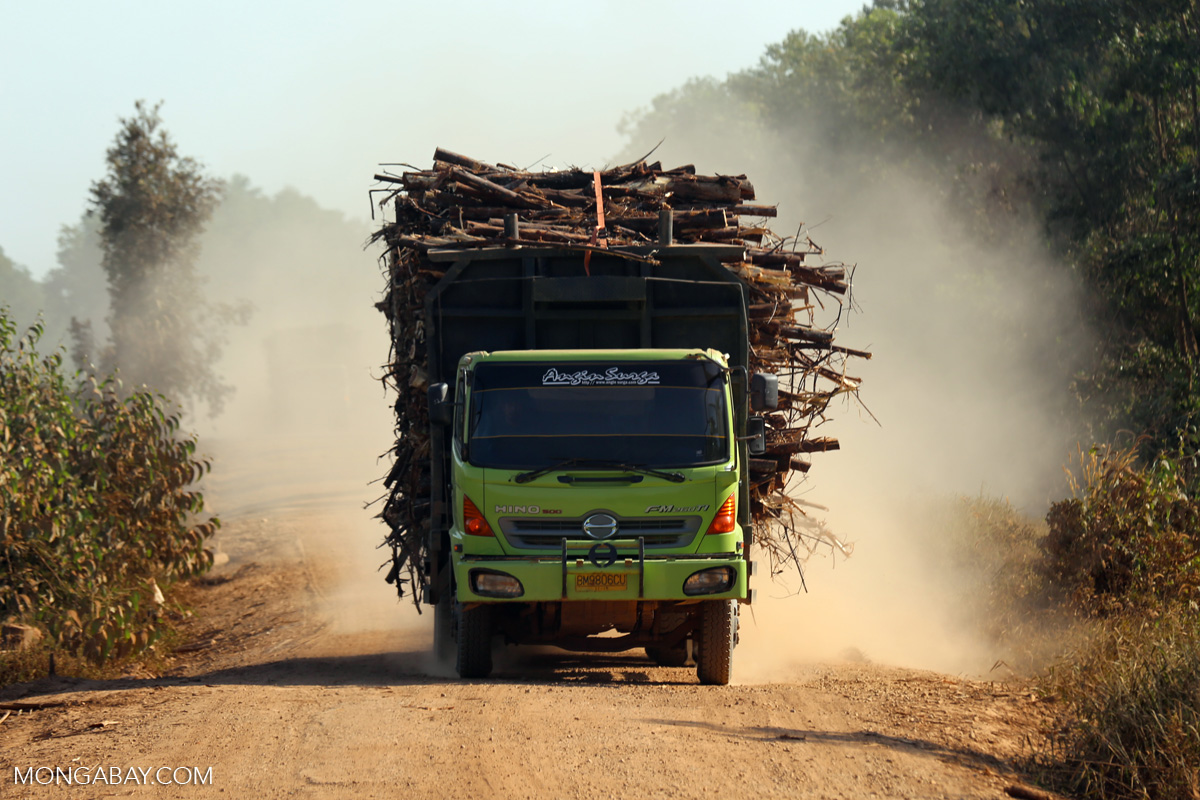 Timber truck