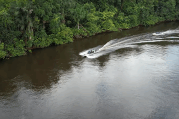 A 2023 expedition along the Uatumã River documented biodiversity loss linked to the Balbina dam. In 2024, a survey of the undammed Jatapu River revealed a region teeming with life. Image courtesy of the National Institute for Amazonian Research (INPA).