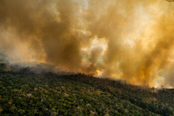 Heat spots in areas with Prodes warnings (2017-2019). Area next to the borders of the Kaxarari Indigenous territory, in Labrea, Amazonas state, Brazil. Taken 17 Aug, 2020. Image © Christian Braga / Greenpeace.