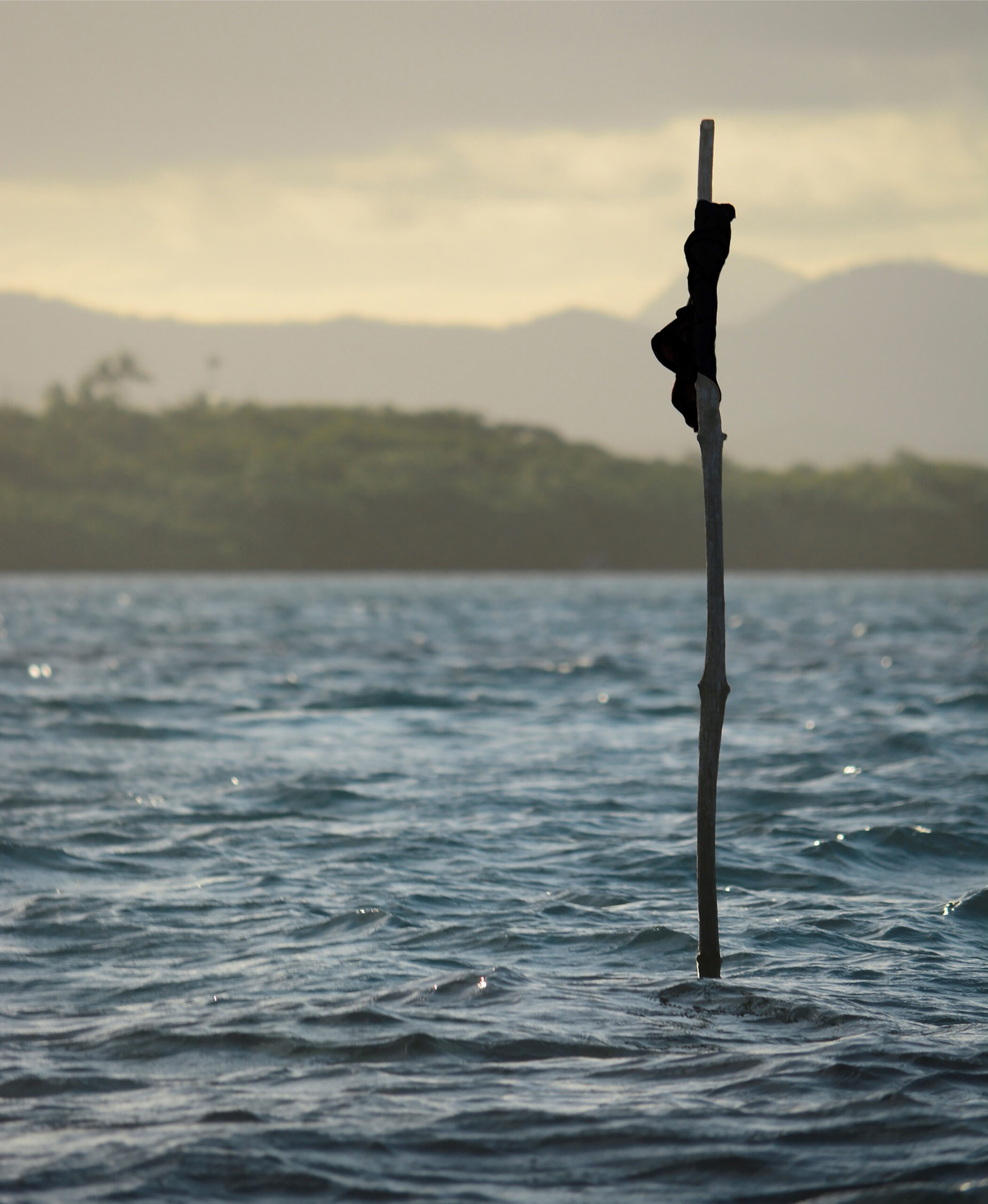 Stick with black cloth on reef indicating funerary protected area. Image by Ron Vave