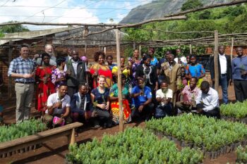 The Kazembe nursery group with Mulanje cedar seedlings in 2018. Community tree nurseries, set up with assistance from MMCT, BGCI and other partners, have been central in building support for Mulanje cedar restoration. The nurseries also demonstrate that it is possible to cultivate native trees, something many people previously did not think was possible. Image courtesy of Botanic Gardens Conservation International (BGCI).
