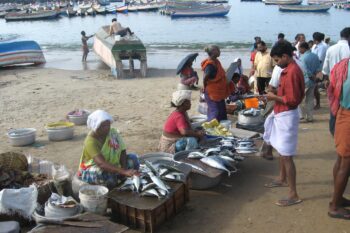 Image of fisherwomen selling fish at a market in Kerala. Image by India Water Portal via Flickr (CC BY-NC-SA 2.0).