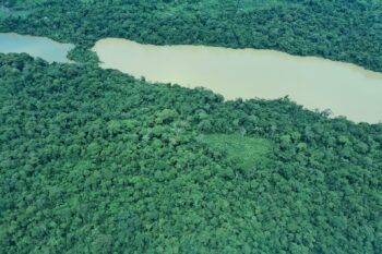 deforestation Amazon