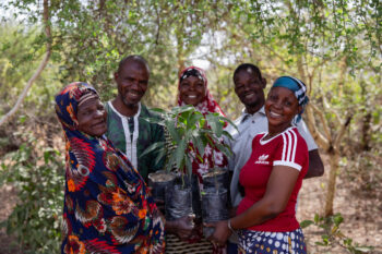 Members of the Vohoko Est cooperative with tree seedlings in the nursery, Tewaka, Burkina Faso, where Tree Aid has begun a 12,000 hectare community-owned agroforestry project.