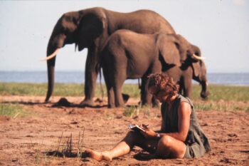 Iain Douglas-Hamilton seated on the ground, writing in a notebook, two elephants in the background. Image courtesy Save the Elephants.