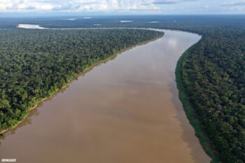Banner image of the Javari River in the Amazon by Rhett A. Butler/Mongabay.