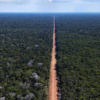The paving of the BR-319 highway would open the Amazon to further deforestation, affecting Brazil's rain cycle and endangering Indigenous communities. Image courtesy of the National Department of Transport Infrastructure (DNIT).
